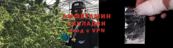 ПСИЛОЦИБИНОВЫЕ ГРИБЫ Белокуриха