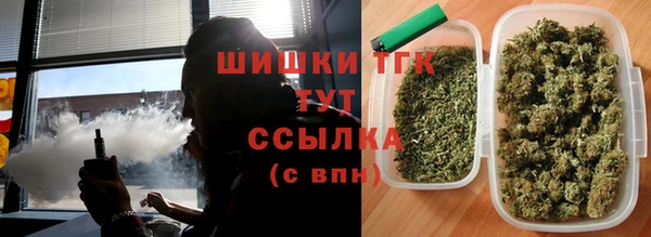 ПСИЛОЦИБИНОВЫЕ ГРИБЫ Белокуриха