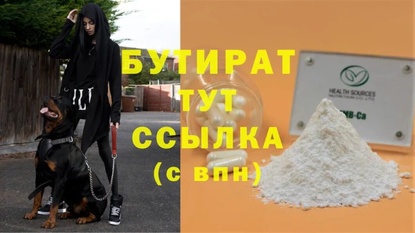 ПСИЛОЦИБИНОВЫЕ ГРИБЫ Белокуриха