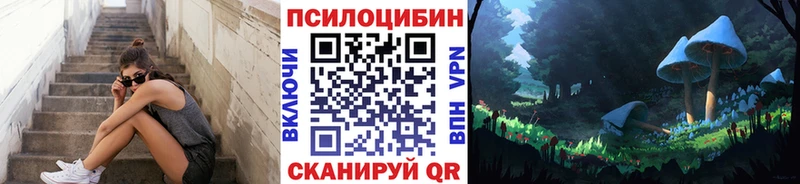 купить  сайты  Воскресенск  гидра   Псилоцибиновые грибы Psilocybe 